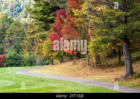 Sentier de randonnée, saison de l'automne et couleurs vibrantes sur les arbres de l'ouest de la Caroline du Nord Banque D'Images