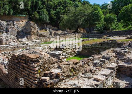 Ruines du Forum romain dans le parc archéologique de Butrint, dans le parc national de Butrint, au sud de l'Albanie. Un site classé au patrimoine mondial de l'UNESCO. Banque D'Images