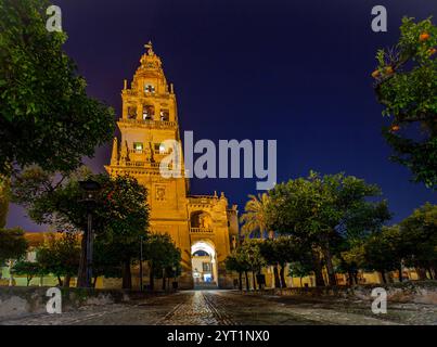 Rouge et blanc double arches sur colonnes romaines à la mosquée salle de prière dans le Cordoba Notre Dame de la cathédrale de l'Assomption Espagne Banque D'Images