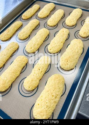 Biscuits au coccinelle fraîchement cuits sur une plaque à pâtisserie Banque D'Images