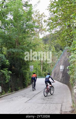 Innsbruck, Autriche - septembre 30 2024 : deux cyclistes à la conquête d'une route forestière montante entourée d'une végétation luxuriante et d'une tranquillité pittoresque Banque D'Images