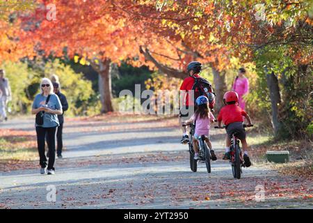 Branche d'érable colorée sur les couleurs de pointe le long du sentier avec des gens faisant du jogging, du vélo et de l'exercice dans le parc, Nouvelle-Angleterre, États-Unis Banque D'Images