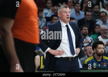 Saras Jasikevicius de Fenerbahce Istanbul lors du match de la saison régulière de Turkish Airlines EuroLeague Round 14 entre le Real Madrid et Fenerbahce Bek Banque D'Images