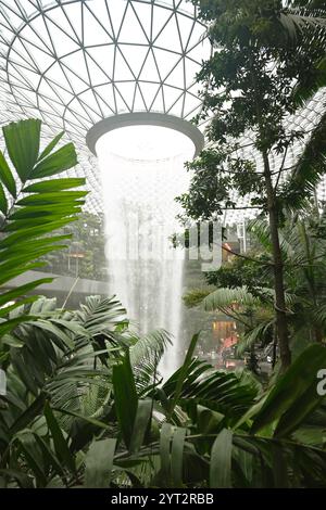 Chute d'eau intérieure au milieu d'une végétation luxuriante dans le dôme de verre moderne de l'aéroport Changi de Singapour Banque D'Images