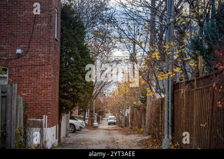 Rue résidentielle délabrée à Montréal en automne, mettant en valeur le charme rustique des zones urbaines nord-américaines par un jour de pluie. Un calme et une histoire Banque D'Images