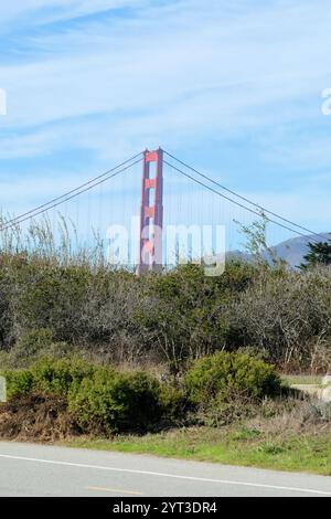 Vue sur l'une des tours principales du Golden Gate Bridge depuis le parc tunnel Tops dans le Presidio, San Francisco, Californie. Banque D'Images