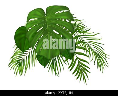 Feuilles de palmier exotiques tropicales réalistes. Convient pour le concept de nature, vacances, voyage, vacances d'été. Illustration vectorielle Illustration de Vecteur