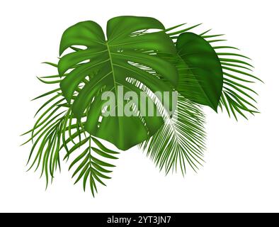 Feuilles de palmier tropicales d'été. Éléments de conception de jungle avec verdure tropicale exotique pour carte d'été, invitation, bannière, affiche. Illustration vectorielle Illustration de Vecteur