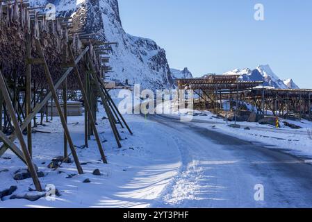 Séchage à l'air de morue sur des grilles de séchage (hjell) dans le magnifique village de pêcheurs de Reine, îles Lofoten, Norvège. Beau paysage hivernal couvert de neige Banque D'Images