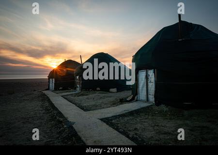 3 est une yourte dans la steppe et l'oasis au coucher du soleil rétroéclairé. Ciel bleu et coucher de soleil jaune. Asie centrale, Kazakhstan Banque D'Images