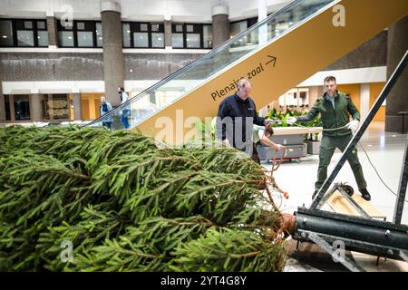 La Haye, pays-Bas. Vendredi 6 décembre 2024. Un sapin de Noël arrive à la Chambre des représentants. Pour la 31e fois, Staatsbosbeheer fait don aux membres du parlement d’une épinette de Norvège provenant des Kuinderbos dans la forêt de Noordoostpolder. ANP LINA SELG netherlands Out - belgique Out/Alamy Live News Banque D'Images