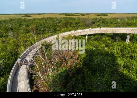 Tour d'observation de Shark Valley, parc national des Everglades, Floride, États-Unis Banque D'Images