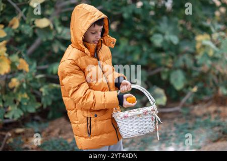 Garçon joyeux souriant avec des mandarines dans les mains Banque D'Images