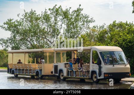 Le circuit en tramway de Shark Valley au parc national des Everglades, Floride, États-Unis Banque D'Images