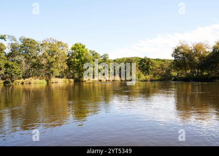 Vue depuis un canoë à Kushiro-gawa Banque D'Images