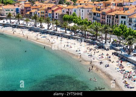 Collioure (sud de la France) : touristes sur la plage de Port d'Avall, promenade avec palmiers, maisons et bâtiments le long du front de mer. Paysage de la “Cô Banque D'Images