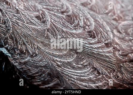 Détail de givre sur un pare-brise de voiture. Givre, cristaux de glace *** légende locale *** Banque D'Images