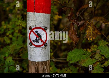 Ein Schild Pilze sammeln verboten ist an einem Holzpfosten in der Nähe von Vettweiß NRW zu sehen. Pilzesammeln *** Un panneau interdisant la cueillette des champignons peut être vu sur un poteau en bois près de Vettweiß NRW cueillette des champignons Banque D'Images