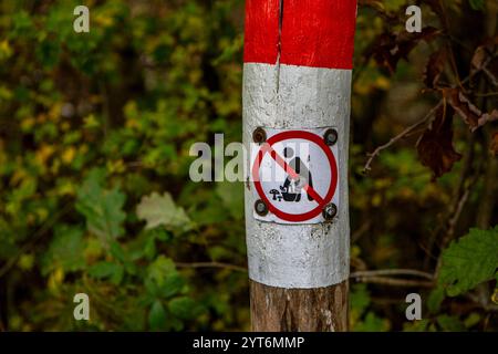 Ein Schild Pilze sammeln verboten ist an einem Holzpfosten in der Nähe von Vettweiß NRW zu sehen. Pilzesammeln *** Un panneau interdisant la cueillette des champignons peut être vu sur un poteau en bois près de Vettweiß NRW cueillette des champignons Banque D'Images