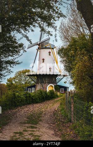 Moulin à vent historique à Veere, pays-Bas Banque D'Images