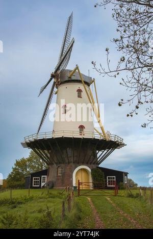 Moulin à vent historique à Veere, pays-Bas Banque D'Images