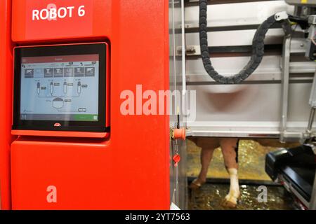 Predslav, région de Klatovy. 6 décembre 2024. 400 vaches trayent grâce à un nouveau système de traite industrielle automatique robotisé dans la ferme agricole moderne Mecholupska zemedelska à Predslav, région de Klatovy, République tchèque, le 6 décembre 2024. Crédit : Miroslav Chaloupka/CTK photo/Alamy Live News Banque D'Images