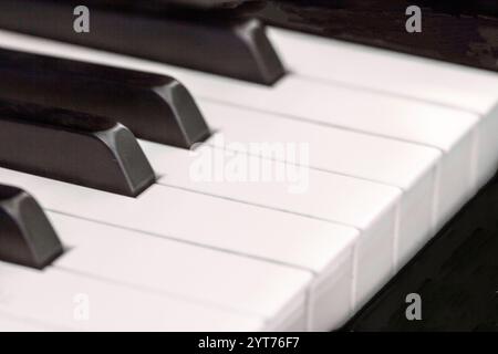 Une photographie rapprochée détaillée des touches du piano mettant en évidence le contraste élégant entre le noir et le blanc. Parfait pour représenter la musique, la créativité. Banque D'Images