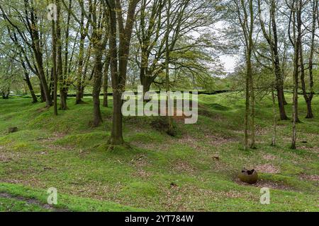 Ypres-Zillebeke, colline 60 Un paysage de cratère de la première Guerre mondiale. La colline 60 fut battue de 1914 à 1918. De nombreux cratères ont été laissés derrière eux Banque D'Images
