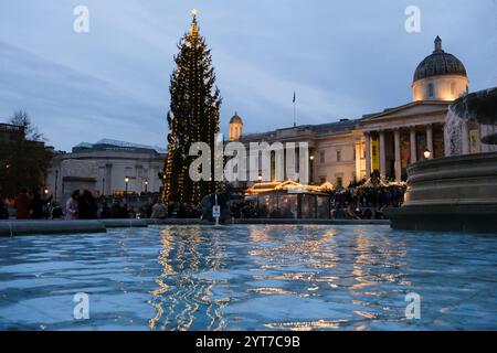 Trafalgar Square, Londres, Royaume-Uni. 6 décembre 2024. Le sapin de Noël Trafalgar Square. Credit : Matthew Chattle/Alamy Live News Banque D'Images