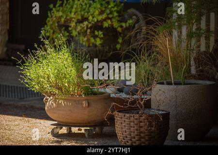 Décorer la façade de la maison avec des pots de fleurs Banque D'Images