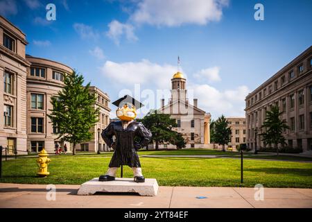 Iowa City, IA États-Unis - 22 juillet 2017 : Statue de Hawkeye, mascotte de l'équipe de l'Université de l'Iowa, devant la pelouse du campus avec le Capitole de l'État en arrière-plan. Banque D'Images