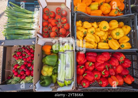 Angleterre, Kent, Tonbridge, le marché agricole, exposition de légumes colorés Banque D'Images