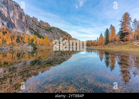 Lac Federa au pied de Croda da da Lago en automne entouré de mélèzes, Dolomites, Cortina d'Ampezzo, province de Belluno, Vénétie, Italie Banque D'Images