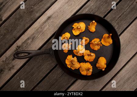 Chanterelles dans une poêle en fer, cuisine d'été, extérieur Banque D'Images