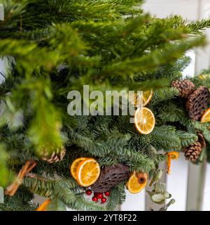 Branches de sapin décorées de tranches d'orange et de fleurs de lotus séchées la veille de Noël. Décoration de rue. Banque D'Images