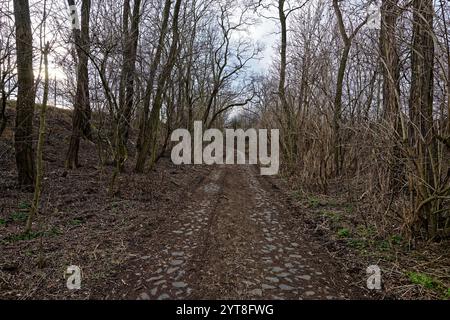 Toulání po okolí Roudnice nad Labem / se promener autour de Roudnice nad Labem Banque D'Images