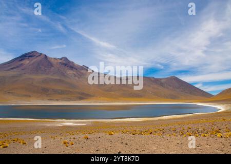 Lagunas Altiplánicas (Miscanti et Miñiques) dans le désert d'Atacama, Chili, avec un ciel bleu clair et des paysages volcaniques environnants. Banque D'Images