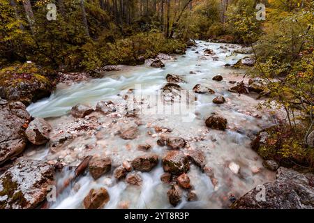 Automne sur l'Ache Ramsauer dans la forêt enchantée près de Ramsau dans Berchtesgadener Land, Bavière, Allemagne. Banque D'Images