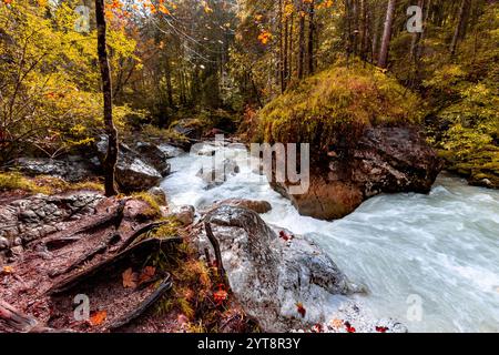 Automne sur l'Ache Ramsauer dans la forêt enchantée près de Ramsau dans Berchtesgadener Land, Bavière, Allemagne. Banque D'Images