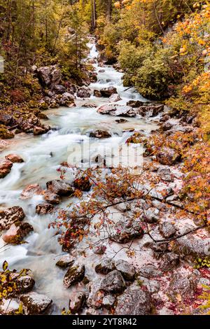 Automne sur l'Ache Ramsauer dans la forêt enchantée près de Ramsau dans Berchtesgadener Land, Bavière, Allemagne. Banque D'Images