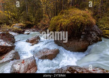 Automne sur l'Ache Ramsauer dans la forêt enchantée près de Ramsau dans Berchtesgadener Land, Bavière, Allemagne. Banque D'Images