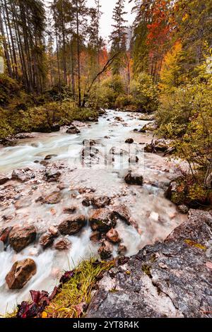 Automne sur l'Ache Ramsauer dans la forêt enchantée près de Ramsau dans Berchtesgadener Land, Bavière, Allemagne. Banque D'Images