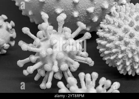 Gros plan montrant quelques virus symboliques dans le dos sombre Banque D'Images