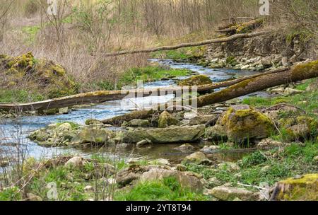 Paysage riverain autour du Grimmmmbach, une petite rivière dans le district de Hohenlohe, dans le sud de l'Allemagne, au début du printemps Banque D'Images