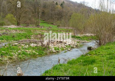 Paysage riverain autour du Grimmmmbach, une petite rivière dans le district de Hohenlohe, dans le sud de l'Allemagne, au début du printemps Banque D'Images