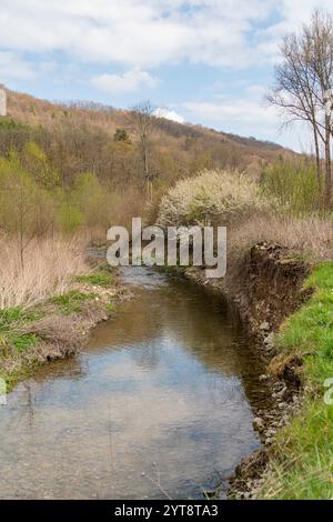 Paysage riverain autour du Grimmmmbach, une petite rivière dans le district de Hohenlohe, dans le sud de l'Allemagne, au début du printemps Banque D'Images