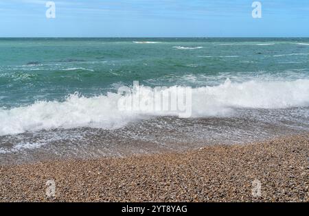 Gros plan côtier sur une plage de la région de Normandie, dans le nord de la France Banque D'Images