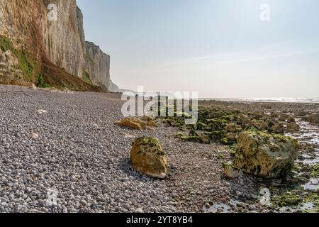 Paysage côtier autour de Saint Léonard, commune du département de la Seine-maritime en région Normandie dans le nord de la France Banque D'Images