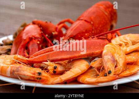 Gros plan d'un homard cuit et d'autres écrevisses sur une assiette au dos brunâtre Banque D'Images