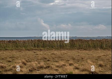 Zone côtière sur la mer des Wadden Banque D'Images